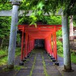 Adam Mednick - Instagram Profile Picture of Adam Mednick (@acro.adam) on Instagram