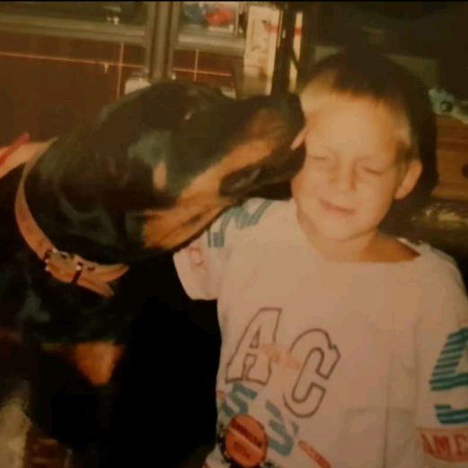 Profile Picture of Robert Roman (@robertstietz2) on Tiktok