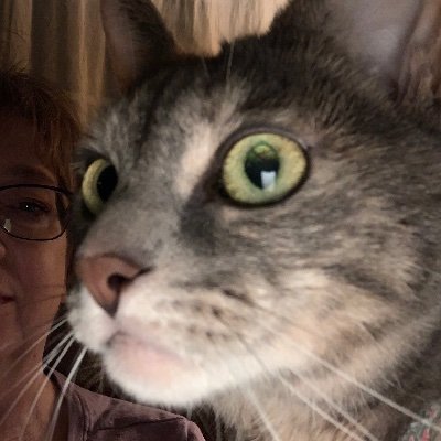 Profile Picture of Richard McGowan (@Richard34580700) on Twitter