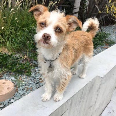 Profile Picture of Alex Mcallister (@AlexanderMcal14) on Twitter