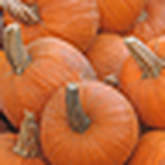 Profile Picture of Lisa Pruitt (@lisampru) on Flickr