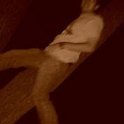 Profile Picture of Tommy Smith (@TommyGuitar91) on Youtube