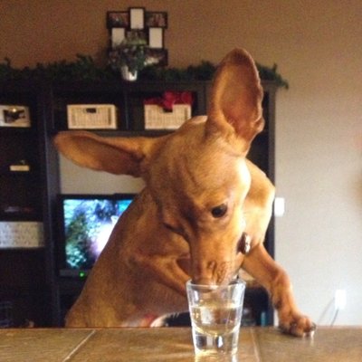 Profile Picture of Jillian Howell (@jillybean0123) on Twitter