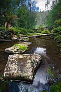 Profile Picture of Wielangta foreston Wikipedia