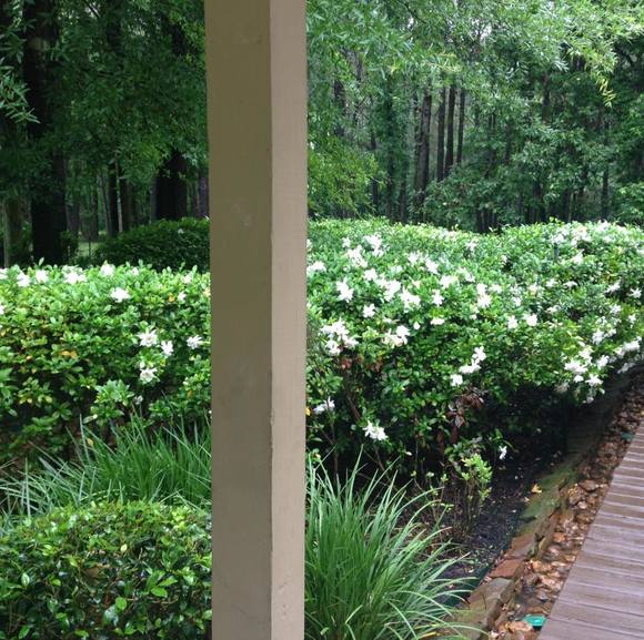 Profile Picture of Elisa Lysandrou (@elita85) on Poshmark