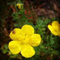 Profile Picture of Ariel Wynn (@ariel-wynn-4) on Quora