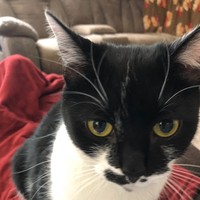 Profile Picture of Amanda Laskey (@amanda-laskey-7) on Quora