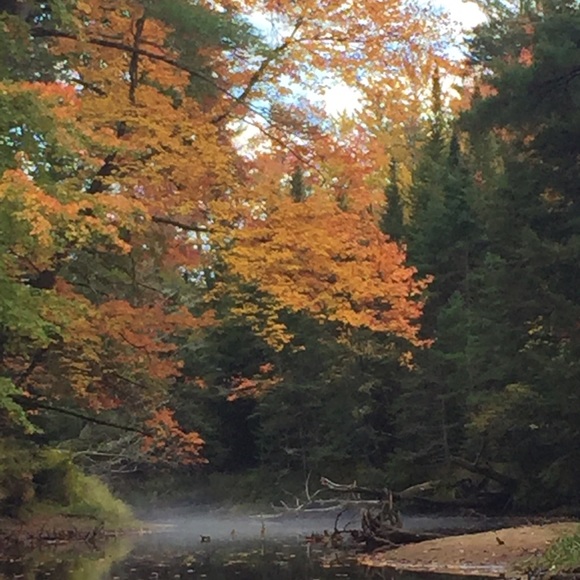 Profile Picture of Craig Cole (@ccole514) on Poshmark