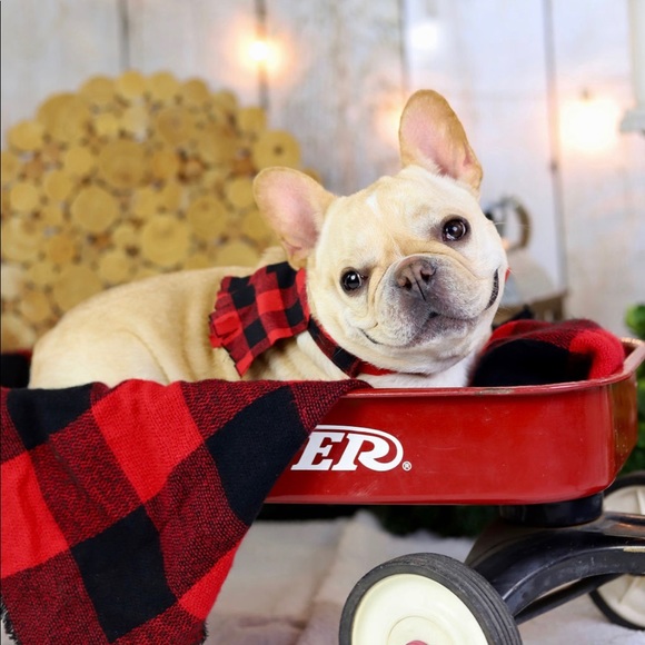 Profile Picture of Lauren Dotzler (@ldotzler) on Poshmark