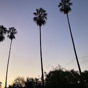 Profile Picture of Michael Burak (@michaelburak9828) on Youtube