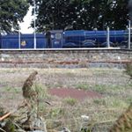 Profile Picture of David Millington (@davidmillington1942) on Instagram