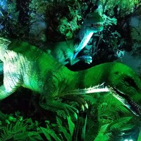 Profile Picture of Dawn Ferro (@dawn-ferro-4) on Quora