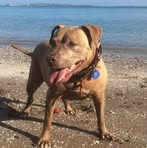 Profile Picture of Zach Aaron Jacob Eyre (@zachaaronjacob.eyre) on Facebook