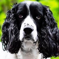 Profile Picture of Glen Proctor (@tazersball) on Pinterest