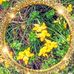 Profile Picture of Steve Simko (@steve.simko.733) on Facebook