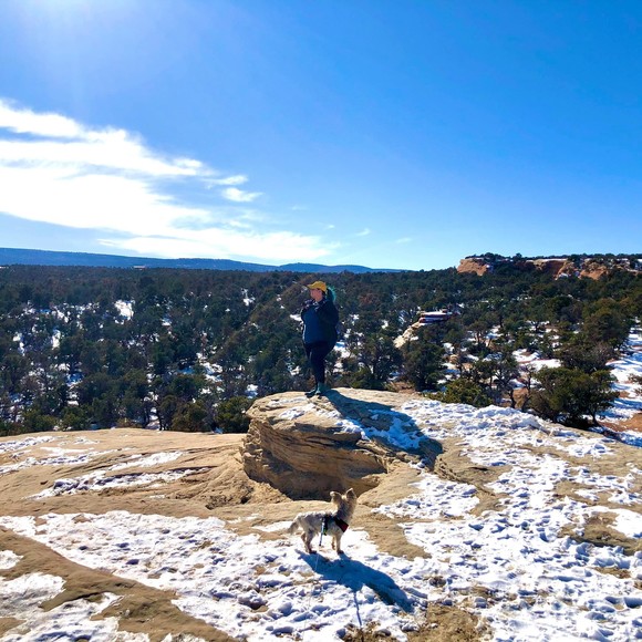 Profile Picture of Emilie Stickley (@emmaureen) on Poshmark