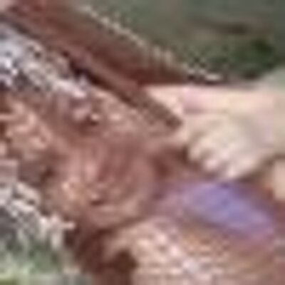 Profile Picture of James Jordan Mina (@jamesmina5) on Twitter