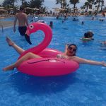 Profile Picture of Lisa Newland (@lisanewland9293) on Instagram