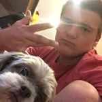 Profile Picture of Ricky (@rickyivneill) on Instagram