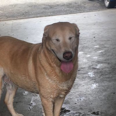 Profile Picture of Justin Haney (@JustinH50724304) on Twitter