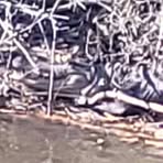 Profile Picture of Richard Braswell (@Richard-Braswell) on Facebook