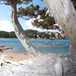 Profile Picture of Manuel Becilla Pedraza (@becillapedraza) on Instagram