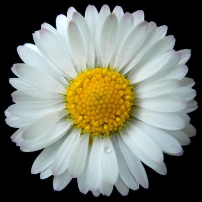 Profile Picture of Catherine (@d4rling) on Twitter