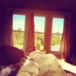 Profile Picture of Stephanie Johnson Blomgren (@stephyjb) on Instagram