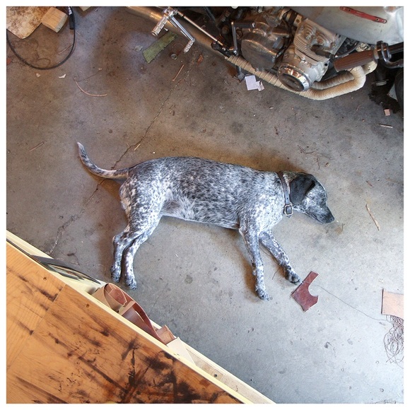 Profile Picture of Andrew Willoughby (@awilloughny) on Poshmark