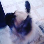 Profile Picture of Joyce Soltys (@joycesoltys7852) on Instagram