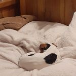 richard knaggs - Instagram Profile Picture of richard knaggs (@richardknaggs0) on Instagram