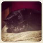 Profile Picture of Lucy Mayhew (@lucygirl_5) on Instagram