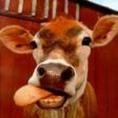 Profile Picture of Kim Simms (@kimsimms) on Twitter