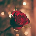 Profile Picture of Kimberly Kittrell (@kimkitt1111) on Instagram