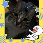 Profile Picture of Hsueh-chen Kuo (@hsuehchenkuo) on Instagram