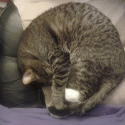 Profile Picture of Ron Richardson (@RangeRichardson) on Youtube