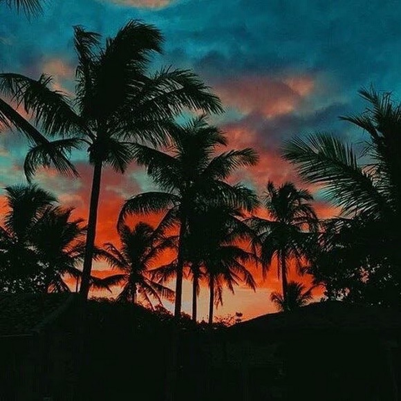 Profile Picture of Jocelyn Ramirez (@jocelynramir186) on Poshmark