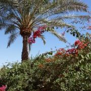 Profile Picture of Marlene Gallagher (@merle1978) on Pinterest