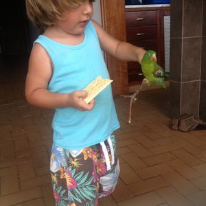 Profile Picture of Juan Anibal (@juan.anibal) on Myspace