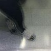 Profile Picture of Joanne Schroeder491 (@@user3580580335648) on Tiktok