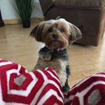 Profile Picture of Nancy Streams (@nanstreamsy) on Instagram