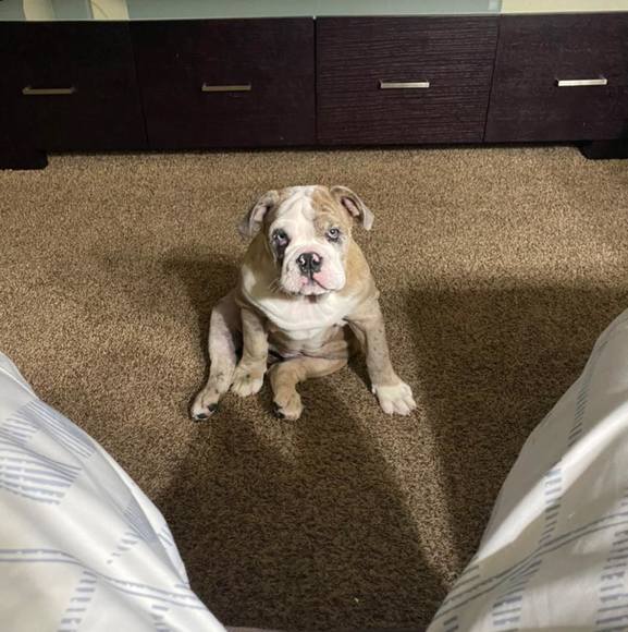 Profile Picture of Charles Cantrell (@chacky09) on Poshmark