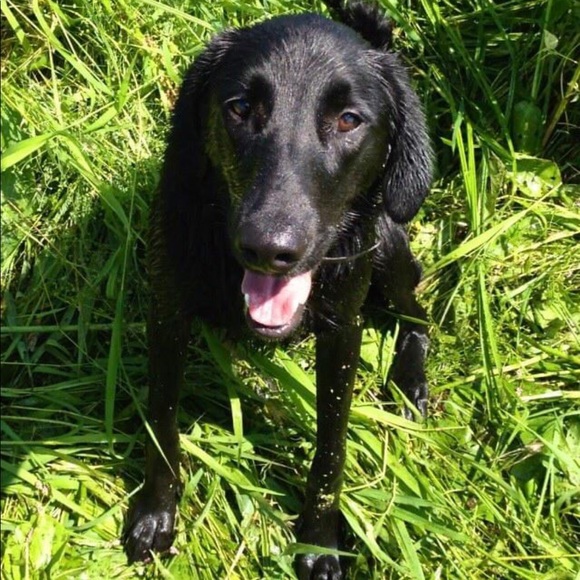 Profile Picture of Chad Sevcik (@sevcik42) on Poshmark