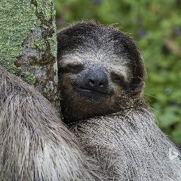 Profile Picture of Kevin Liu (@KEVIN_X1ao) on Twitter