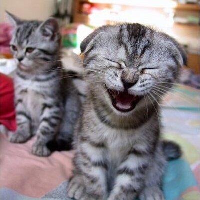 Jim Van Ness - Twitter Profile Picture of Jim Van Ness (@JimsVoice) on Twitter