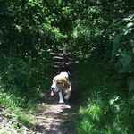 Profile Picture of Clover Coral Mckeown (@user1372828373838388) on Instagram