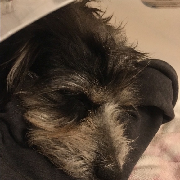 Profile Picture of Amanda Abernathy (@loviebunches) on Poshmark