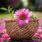 Profile Picture of James Carrey (@James-Carrey) on Facebook