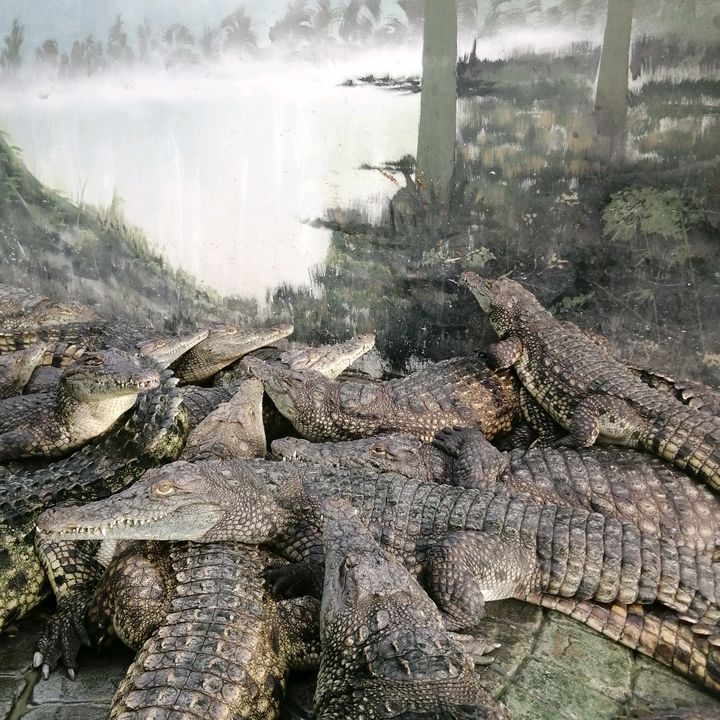 Profile Picture of MarkMargo (@markmargo777) on Tiktok