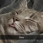 Profile Picture of Brianna Corbitt (@brianna.panda32) on Instagram